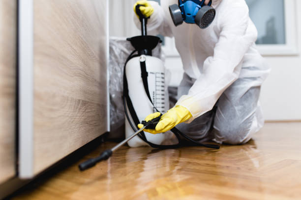 Pest Control Cost in Corvallis, MT