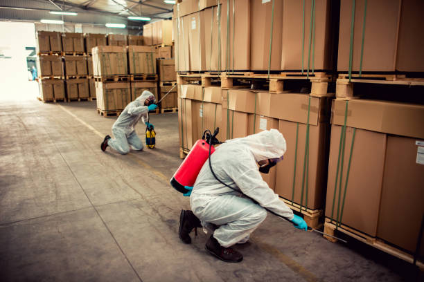 Wasp Removal Services in Corvallis, MT