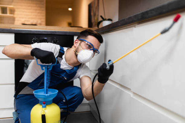 Best Best Pest Control Companies  in Corvallis, MT