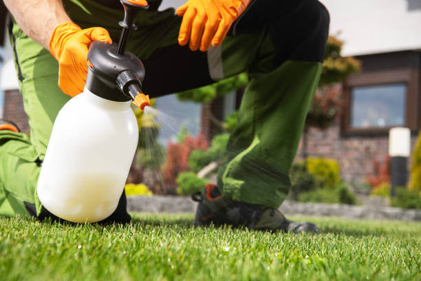 Best Best Pest Control Companies  in Corvallis, MT