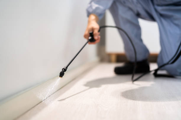 Corvallis, MT Pest Control Company