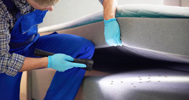 Best Affordable Pest Control Services  in Corvallis, MT