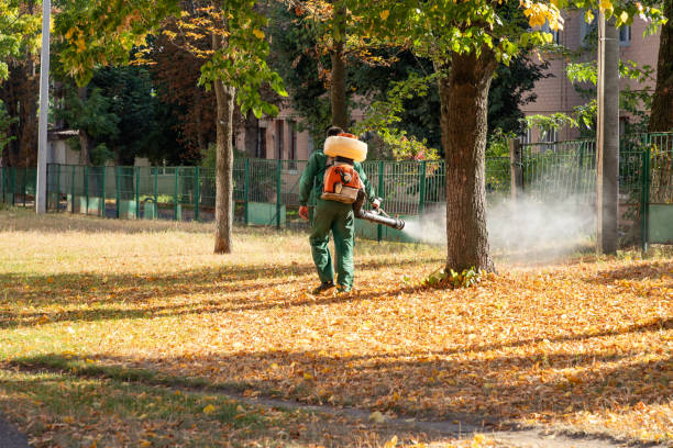  Corvallis, MT Pest Control Pros