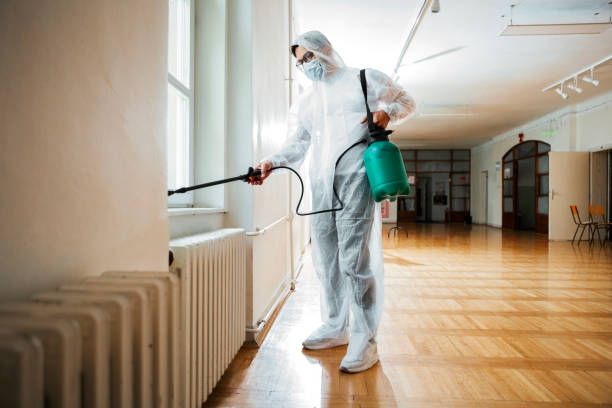 Best Wasp Removal Services  in Corvallis, MT