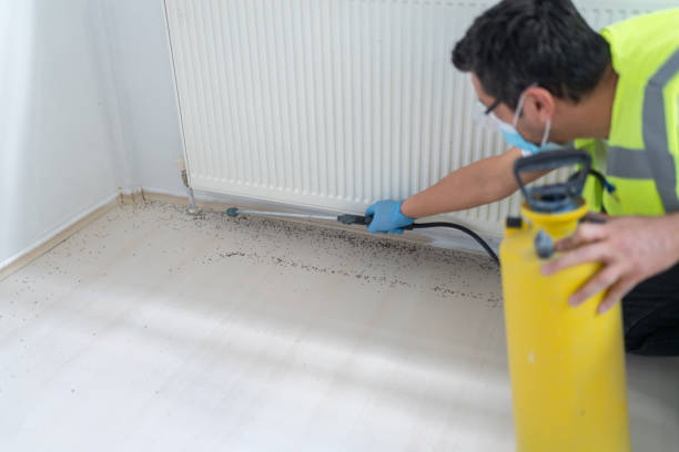 Best Flea Control Services  in Corvallis, MT