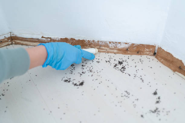 Best Wildlife Control Services  in Corvallis, MT